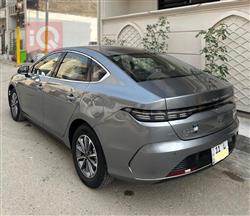 بی وای دی دیسترۆیەر 05